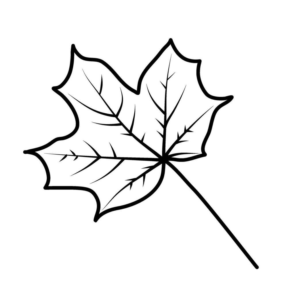 tomber feuilles gland l'automne ligne art illustration vecteur