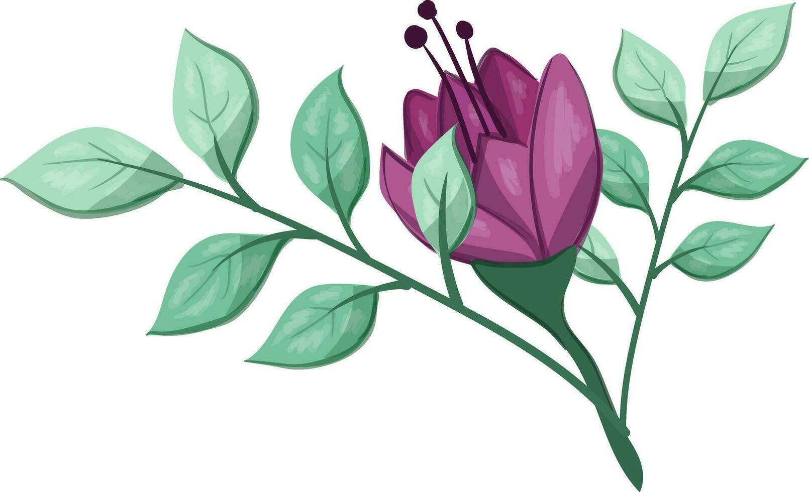 illustration de une violet fleur avec vert feuilles sur une blanc Contexte vecteur