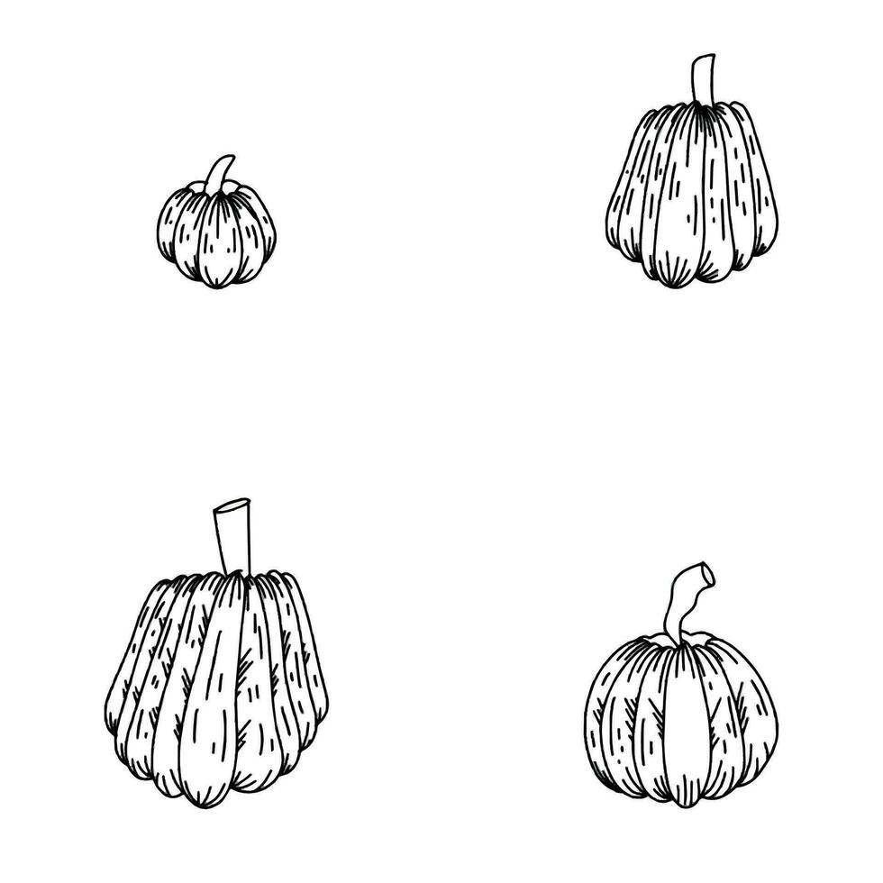 main tiré noir et blanc ensemble de citrouilles.cartoon contour de des légumes dans griffonnage style. symbole de l'automne récolte et Halloween. vecteur