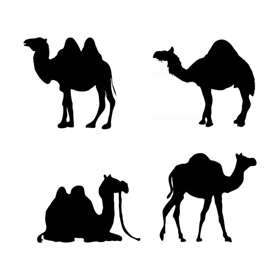 vecteur de silhouette animale chameau