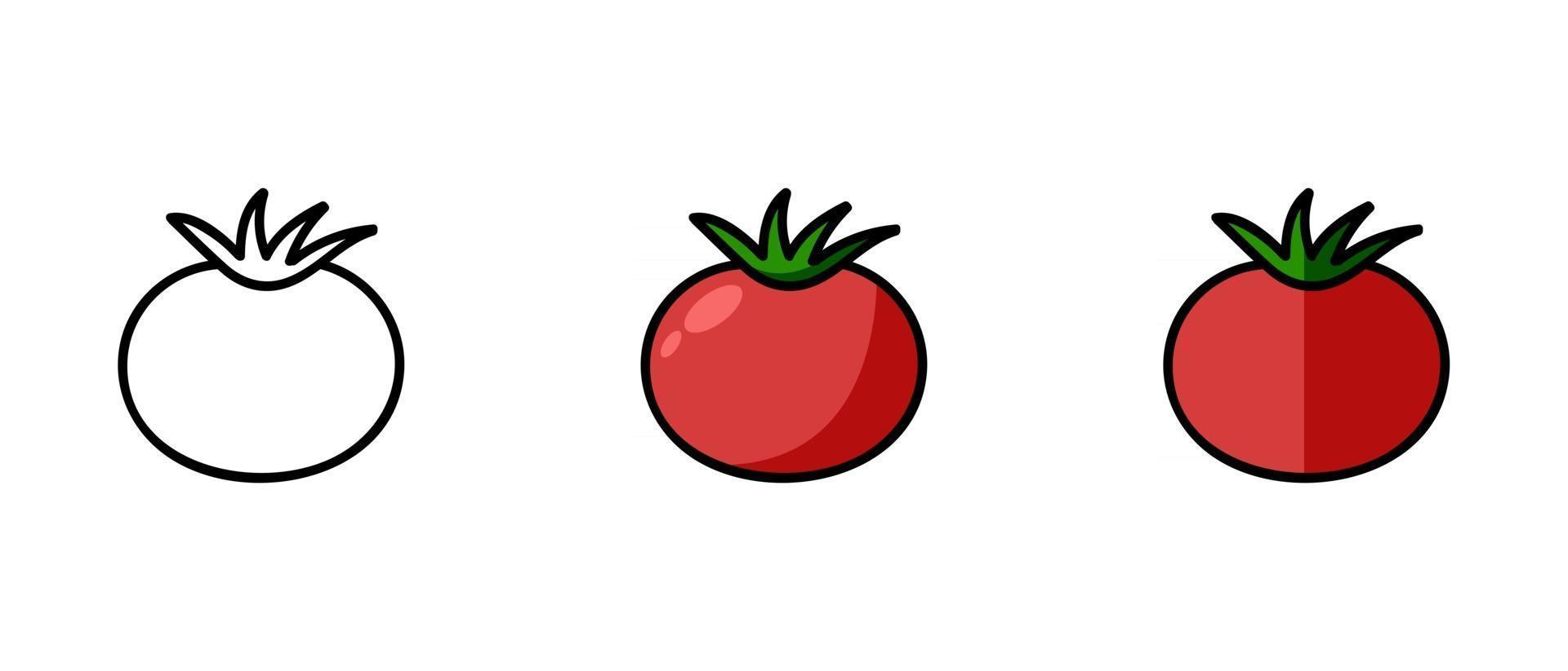 contour et symboles colorés d'une tomate vecteur