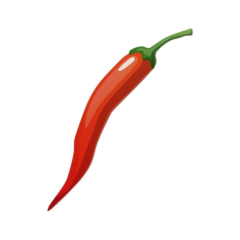 vecteur illustration avec rouge le Chili chaud poivre