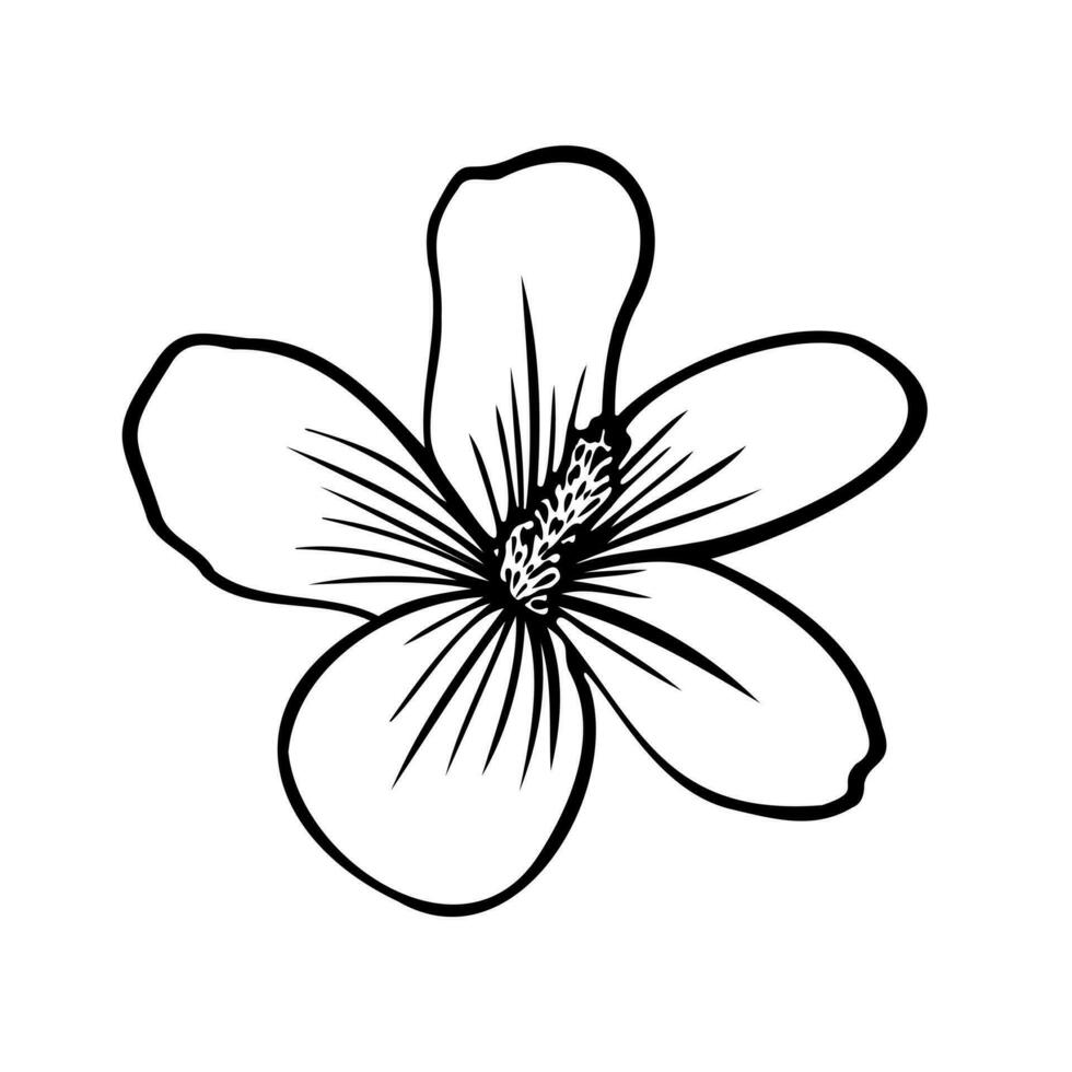 contour illustration avec tropical fleur vecteur
