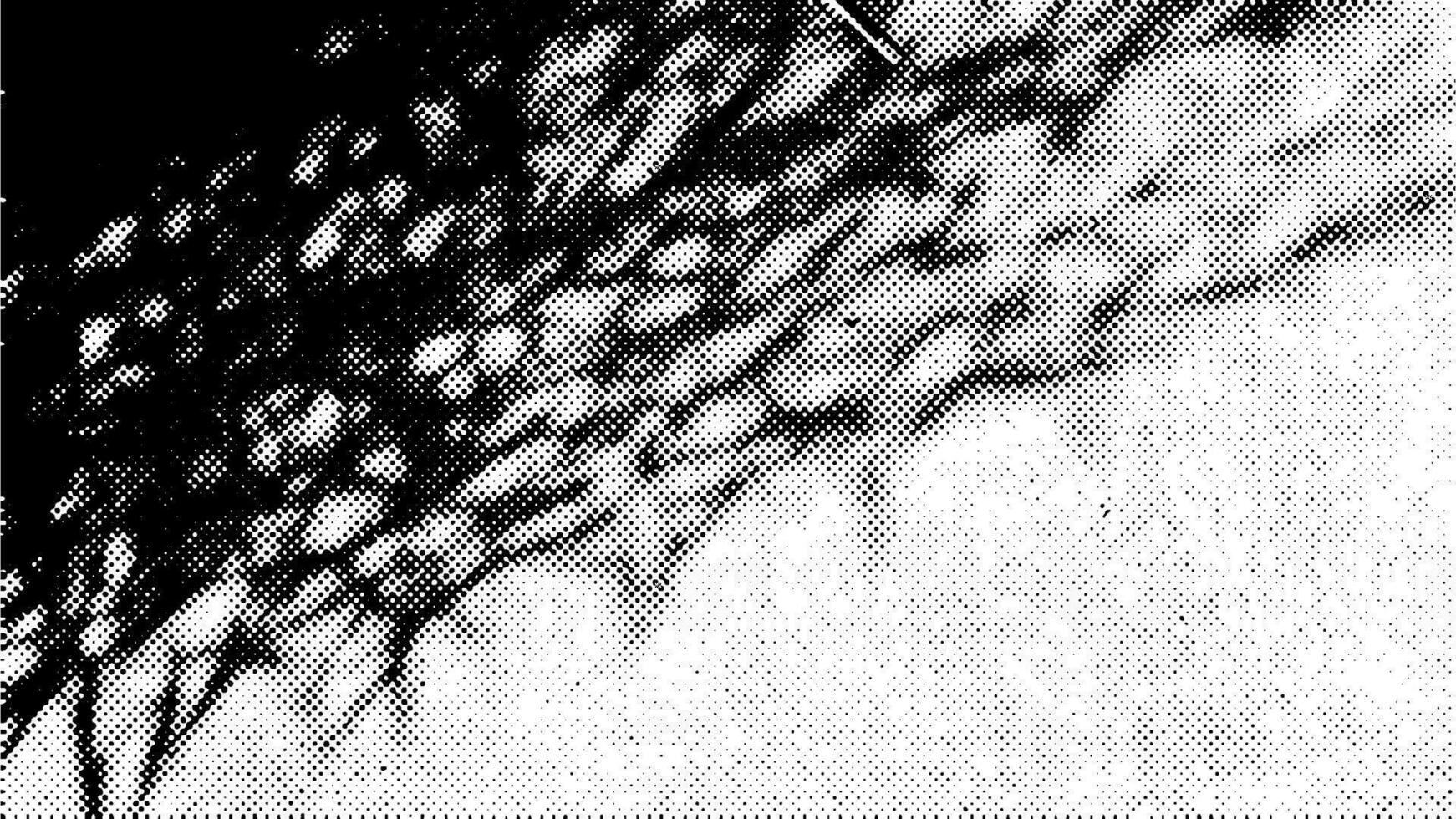 Naturel grungy arrière-plan, demi-teinte noir points détresse biologique texture avec floral ombres. vecteur 16x9 illustration.