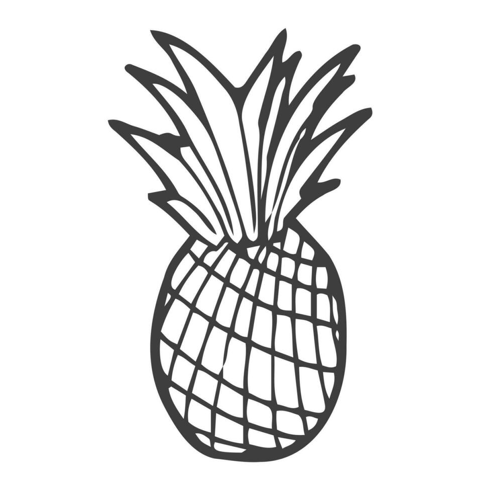 dessin à la main d'ananas isolé sur fond blanc. illustration de stock de vecteur. vecteur