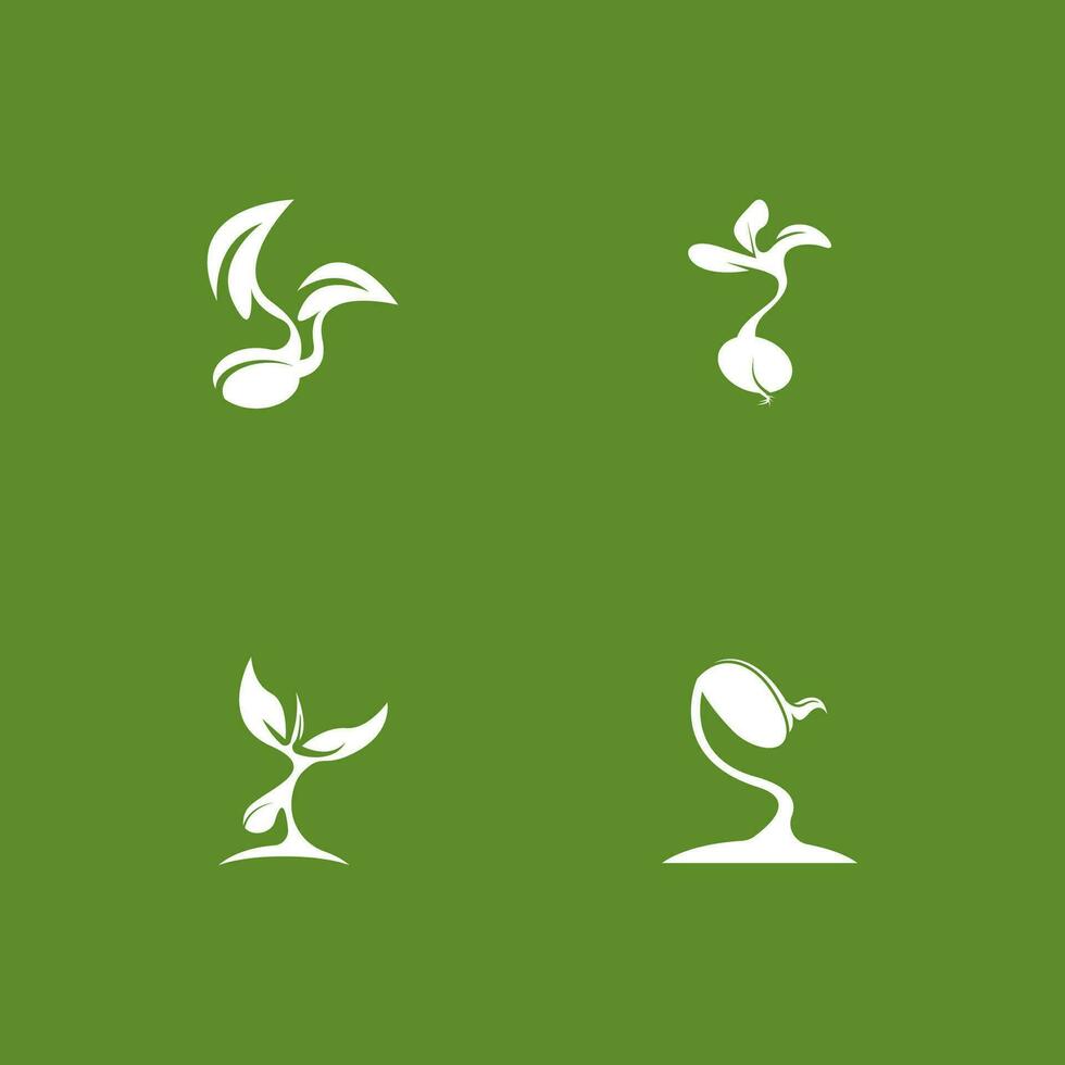 des graines la nature logo vecteur modèle illustration