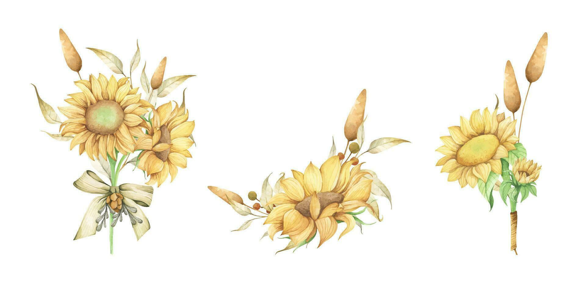 ensemble de vibrant tournesol et feuilles bouquet. aquarelle illustrations. vecteur