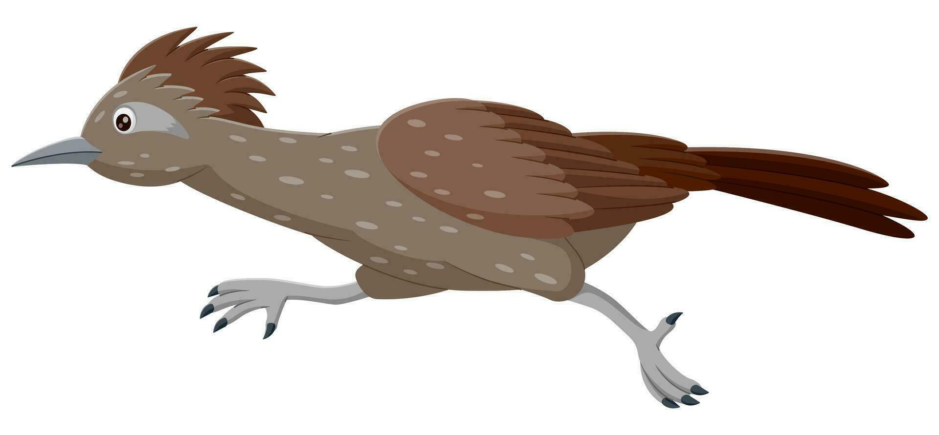 dessin animé roadrunner oiseau en cours d'exécution. vecteur illustration