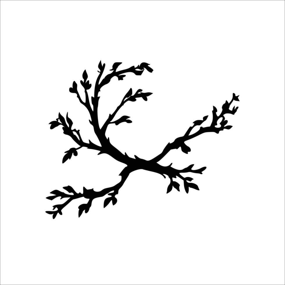 arbre branches avec feuilles isolé vecteur
