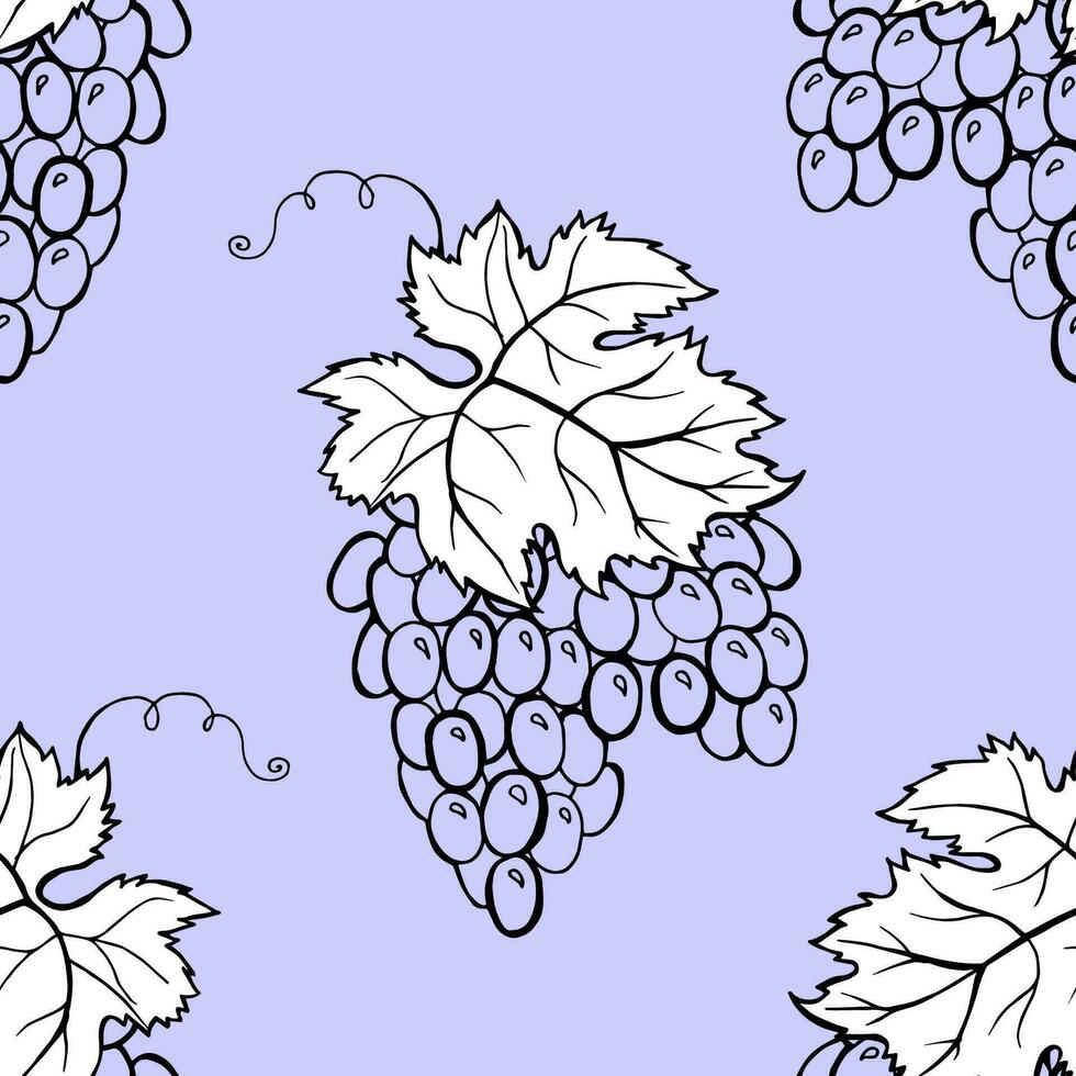 floral grain de raisin du vin sans couture modèle. vecteur main dessiner dessin animé style