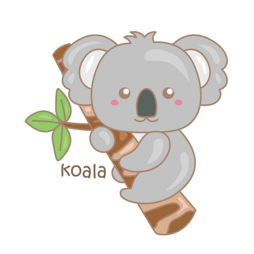 alphabet k pour koala vocabulaire école leçon dessin animé illustration vecteur clipart autocollant