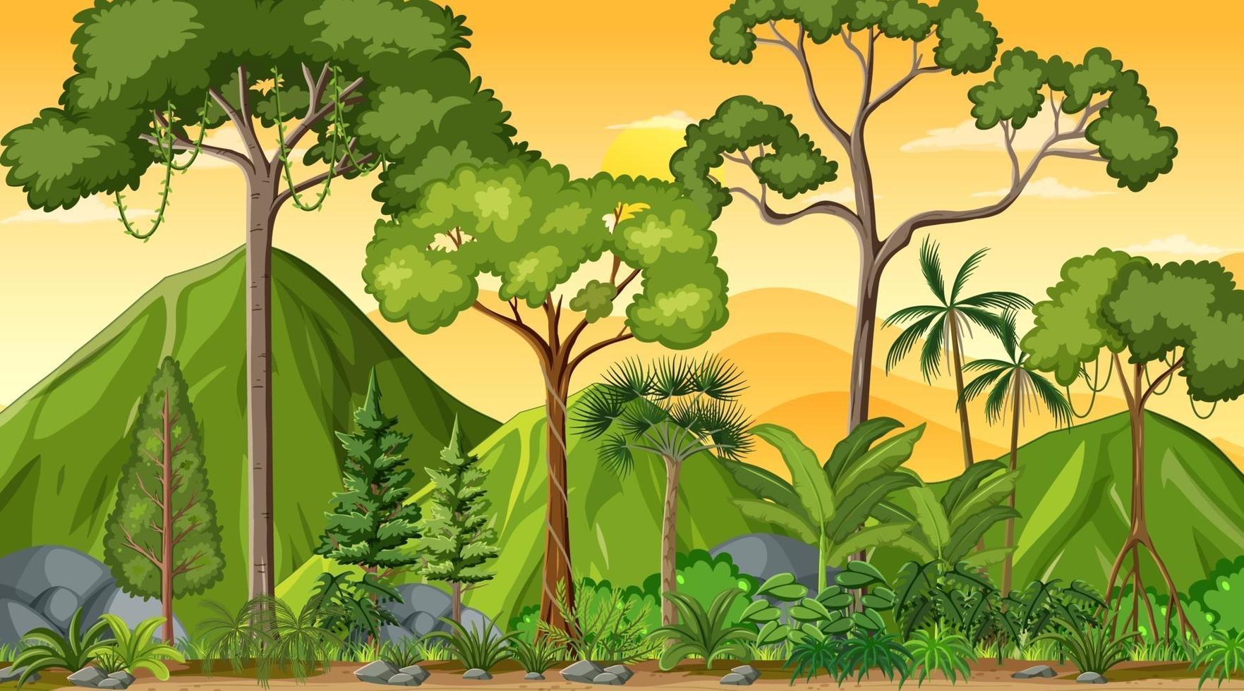 scène de paysage forestier au coucher du soleil avec de nombreux arbres différents vecteur