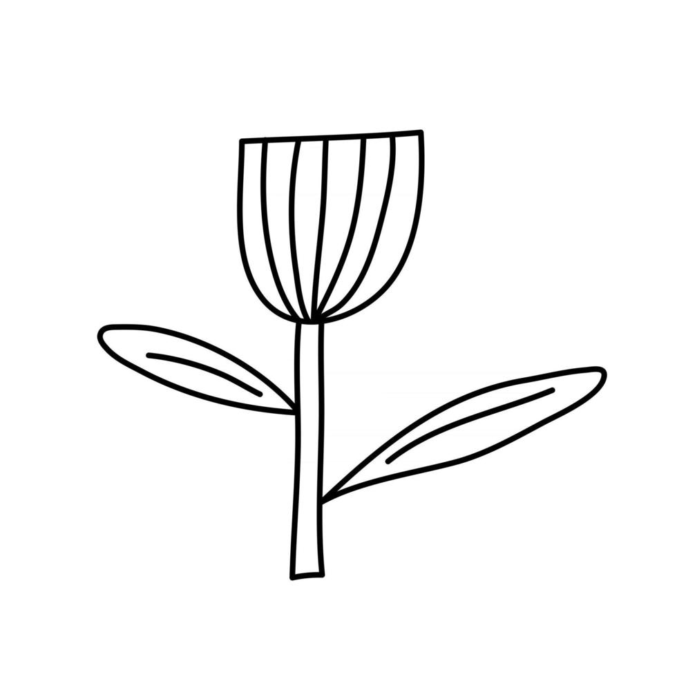 fleur de printemps stylisée de vecteur avec style monoline. élément d'art illustration scandinave. image florale d'été décorative pour la carte ou l'affiche de la Saint-Valentin, bannière de vacances