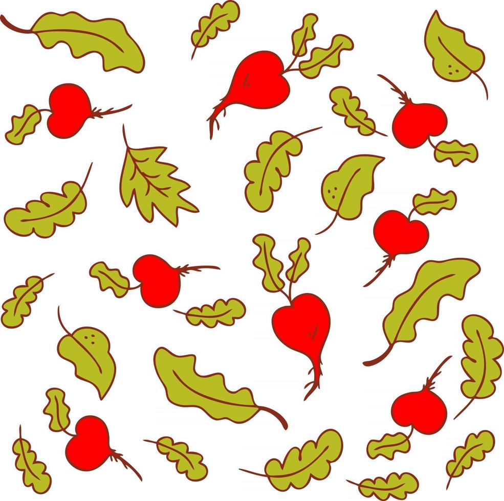 modèle vectoriel aux couleurs vives de l'été légumes betteraves et feuilles de laitue salade