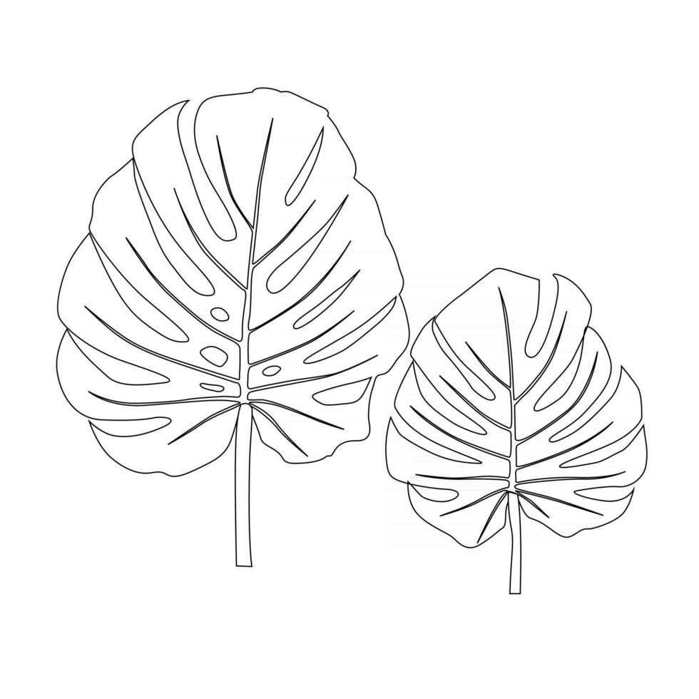 feuilles de palmier monstera silhouette tendance. illustration vectorielle vecteur