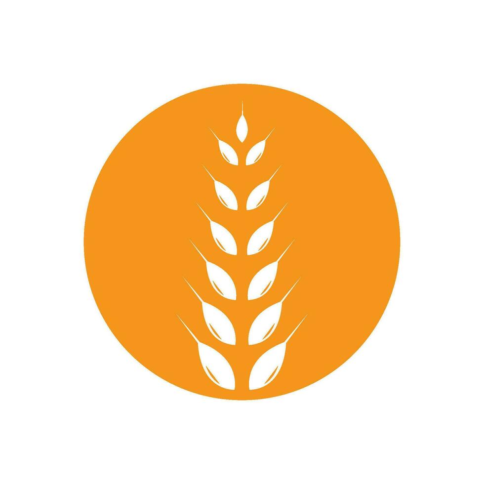 blé logo modèle vecteur icône conception