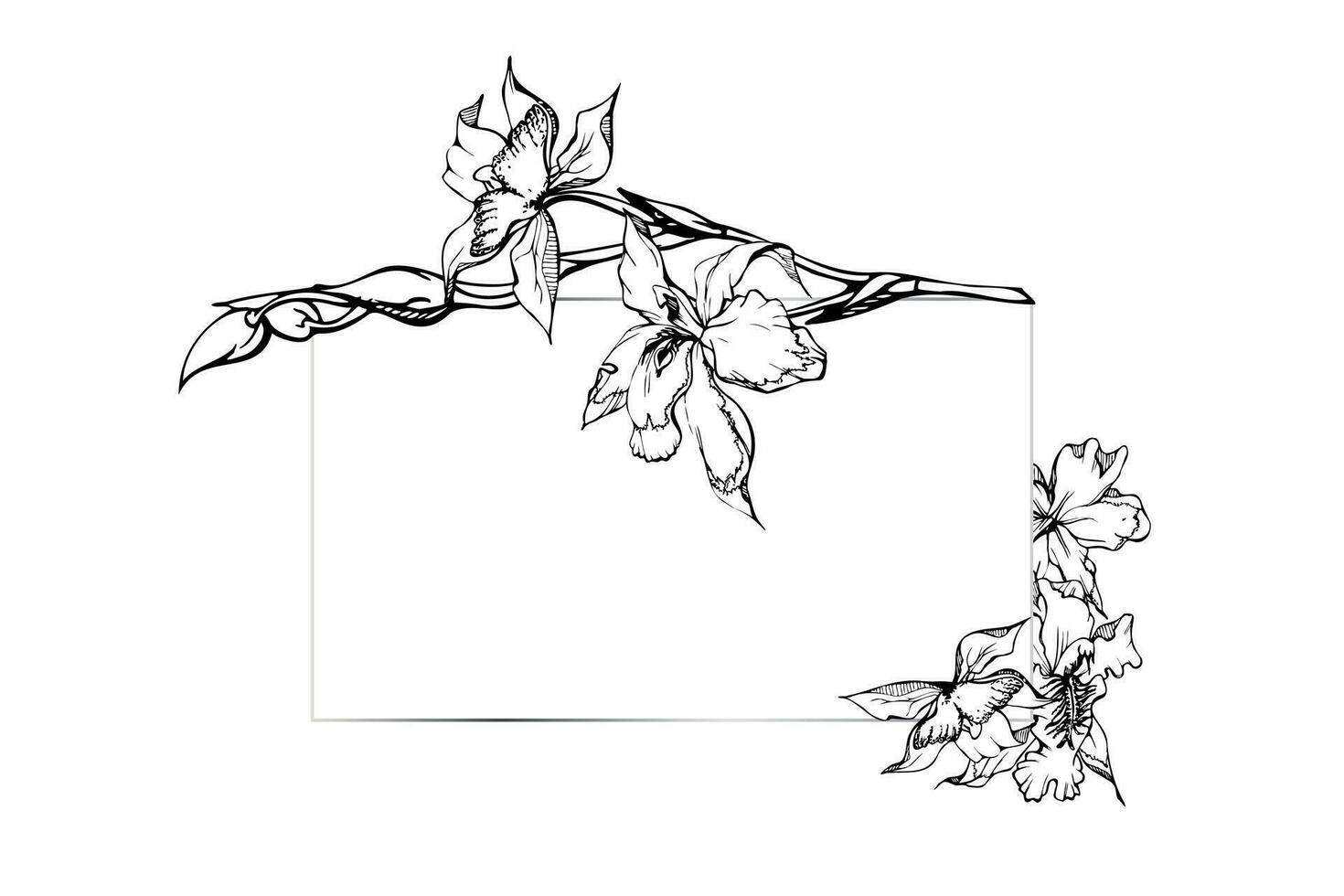 main tiré vecteur encre orchidée fleurs et branches, monochrome, détaillé contour. horizontal Cadre composition. isolé sur blanc Contexte. conception pour mur art, mariage, imprimer, tatouage, couverture, carte.