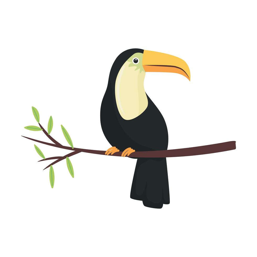 caractère sauvage animal toucan africain vecteur