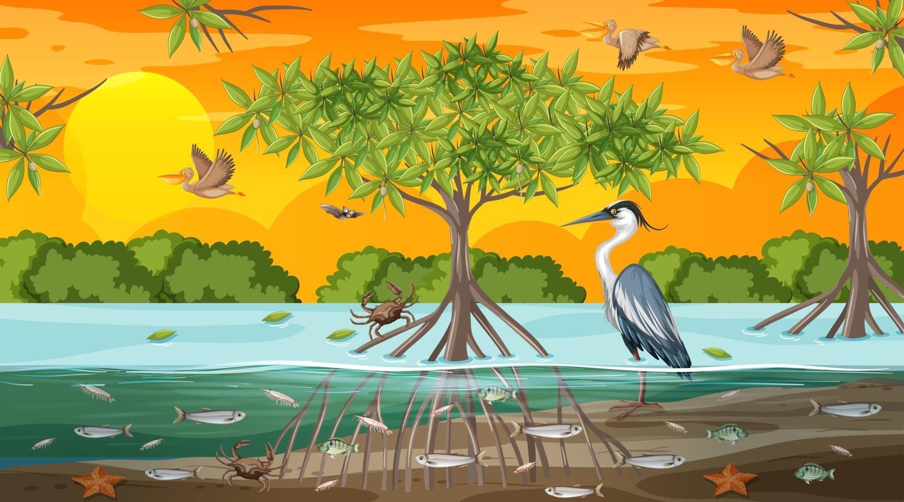 scène de paysage de forêt de mangrove au coucher du soleil avec de nombreux animaux différents vecteur
