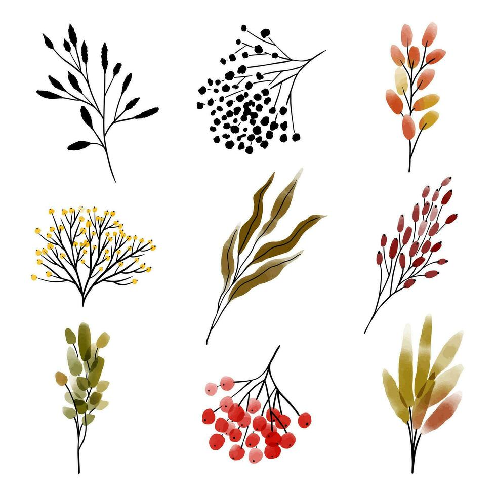 ensemble avec aquarelle l'automne branches, feuilles et baies isolé sur blanc Contexte vecteur