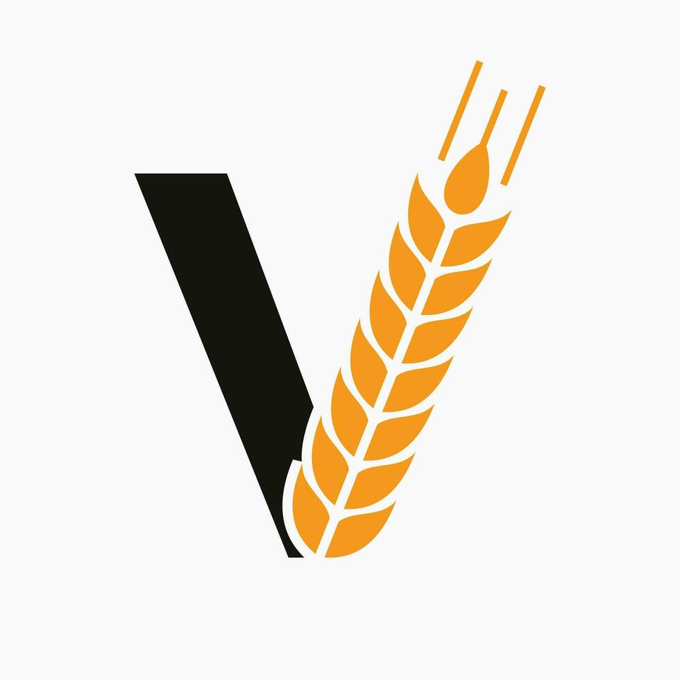 lettre v blé logo pour agriculture symbole vecteur modèle