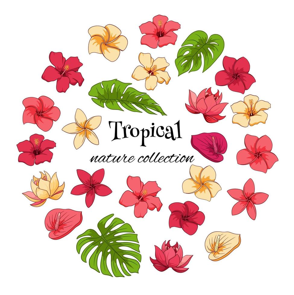 collection tropicale avec des fleurs exotiques et des feuilles sculptées en style cartoon vecteur