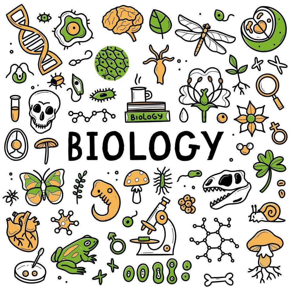 la biologie griffonnage ensemble. collection de main tiré éléments science la biologie. vecteur illustration isolé sur une blanc Contexte