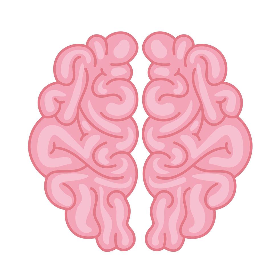 icône du cerveau humain vecteur