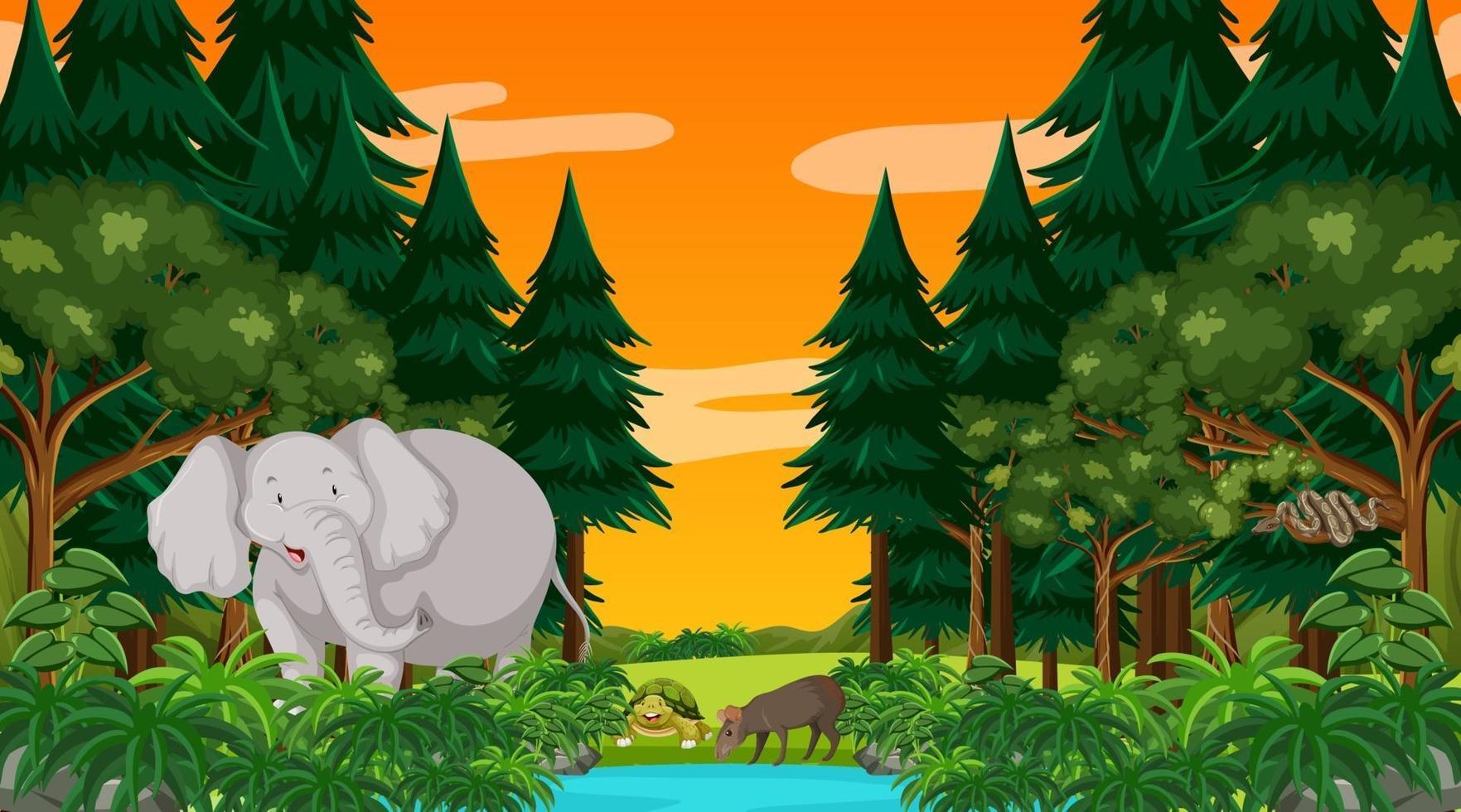 forêt au coucher du soleil avec un gros éléphant et d'autres animaux vecteur