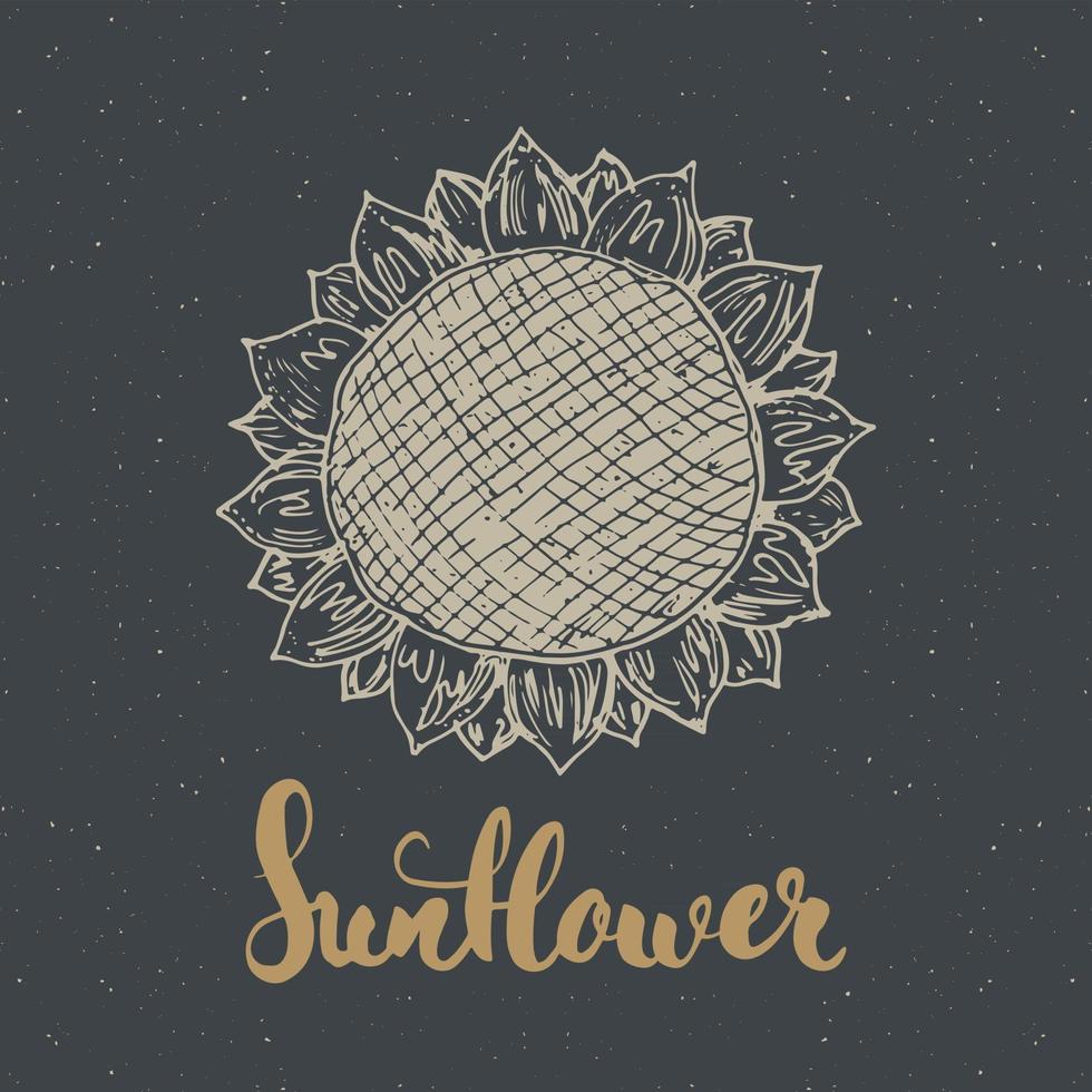 croquis de tournesol, étiquette vintage, insigne texturé grunge dessiné à la main, modèle de logo rétro, illustration vectorielle de typographie design vecteur