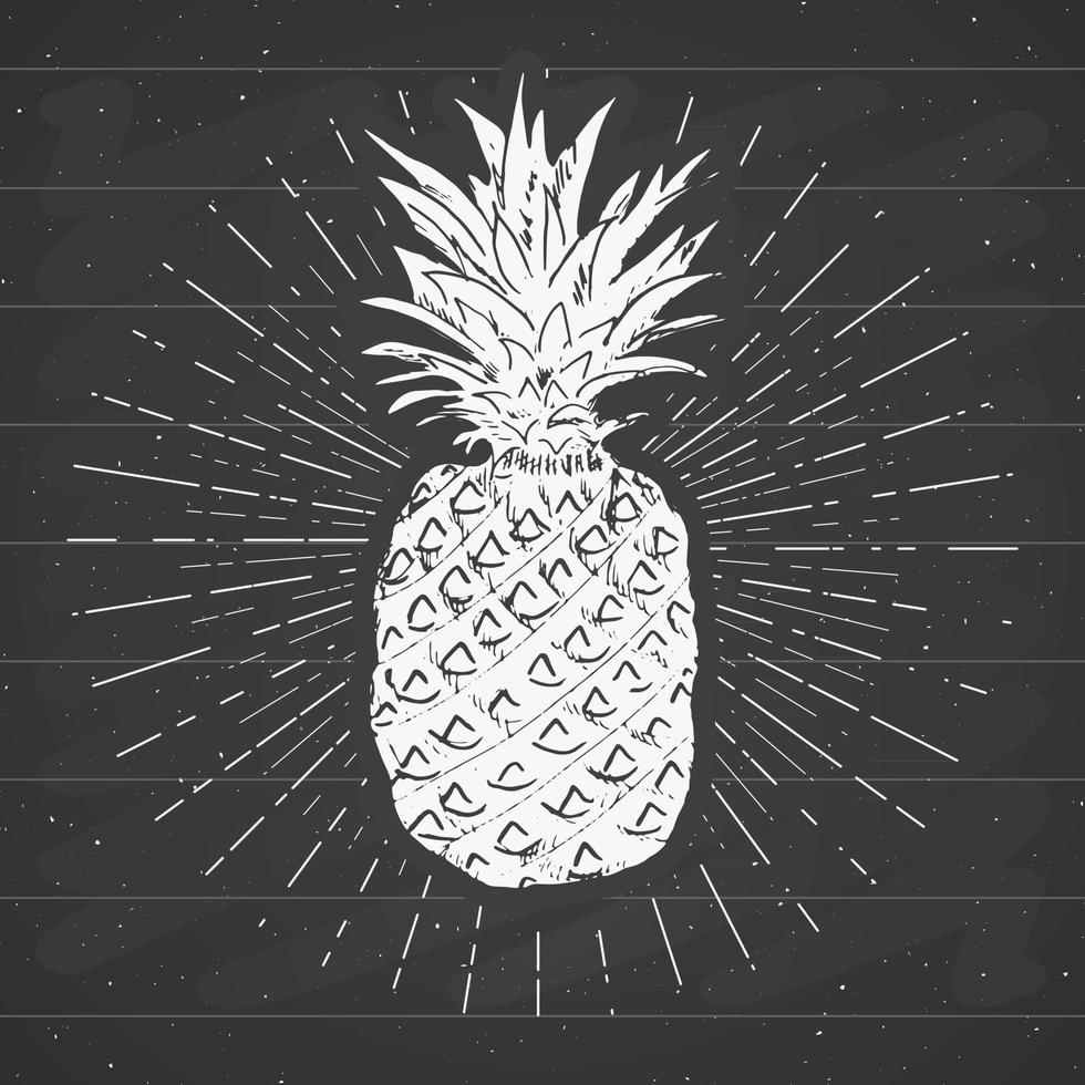 étiquette vintage, ananas dessiné à la main, modèle de badge rétro texturé grunge, illustration vectorielle de typographie design vecteur