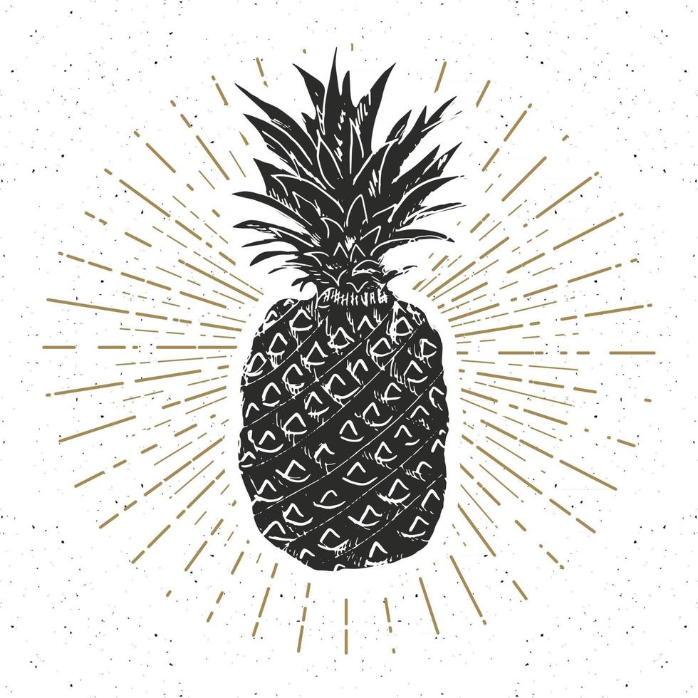 étiquette vintage, ananas dessiné à la main, modèle de badge rétro texturé grunge, illustration vectorielle de typographie design vecteur