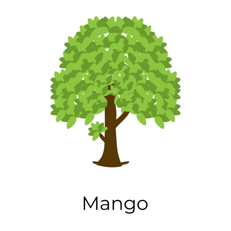 beau manguier vecteur
