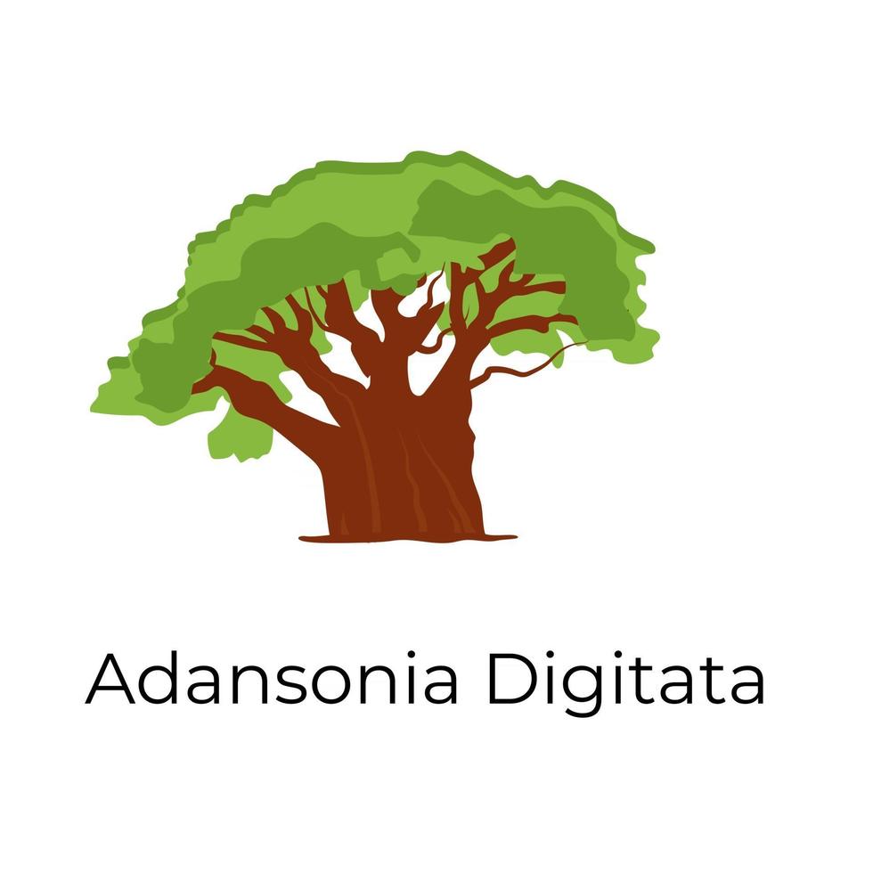 arbre adansonia digitata vecteur