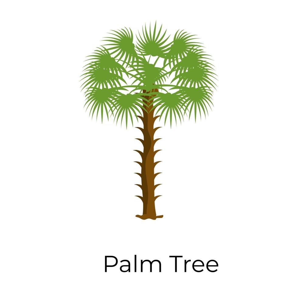 conception de palmier vecteur