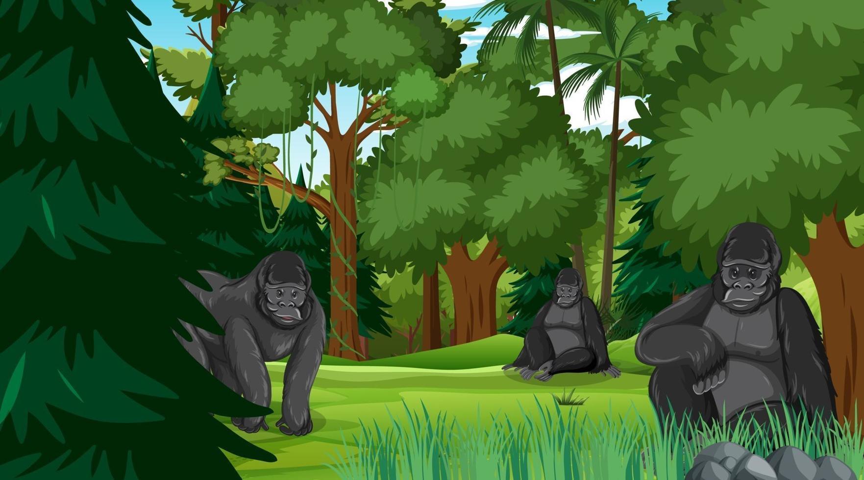 famille de gorilles dans une scène de forêt ou de forêt tropicale avec de nombreux arbres vecteur
