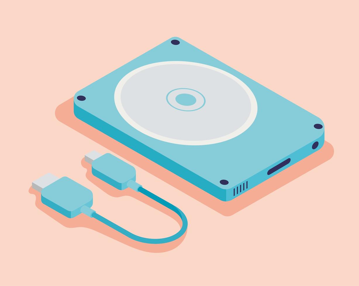 disque dur et usb vecteur