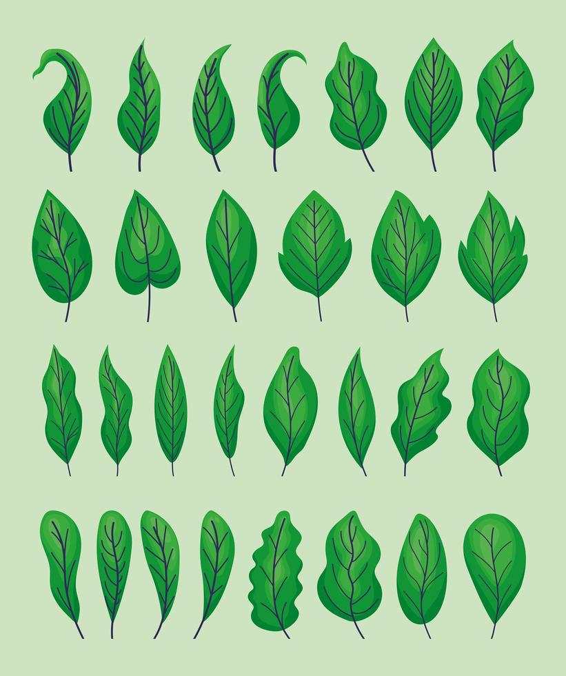 ensemble de feuilles vertes vecteur