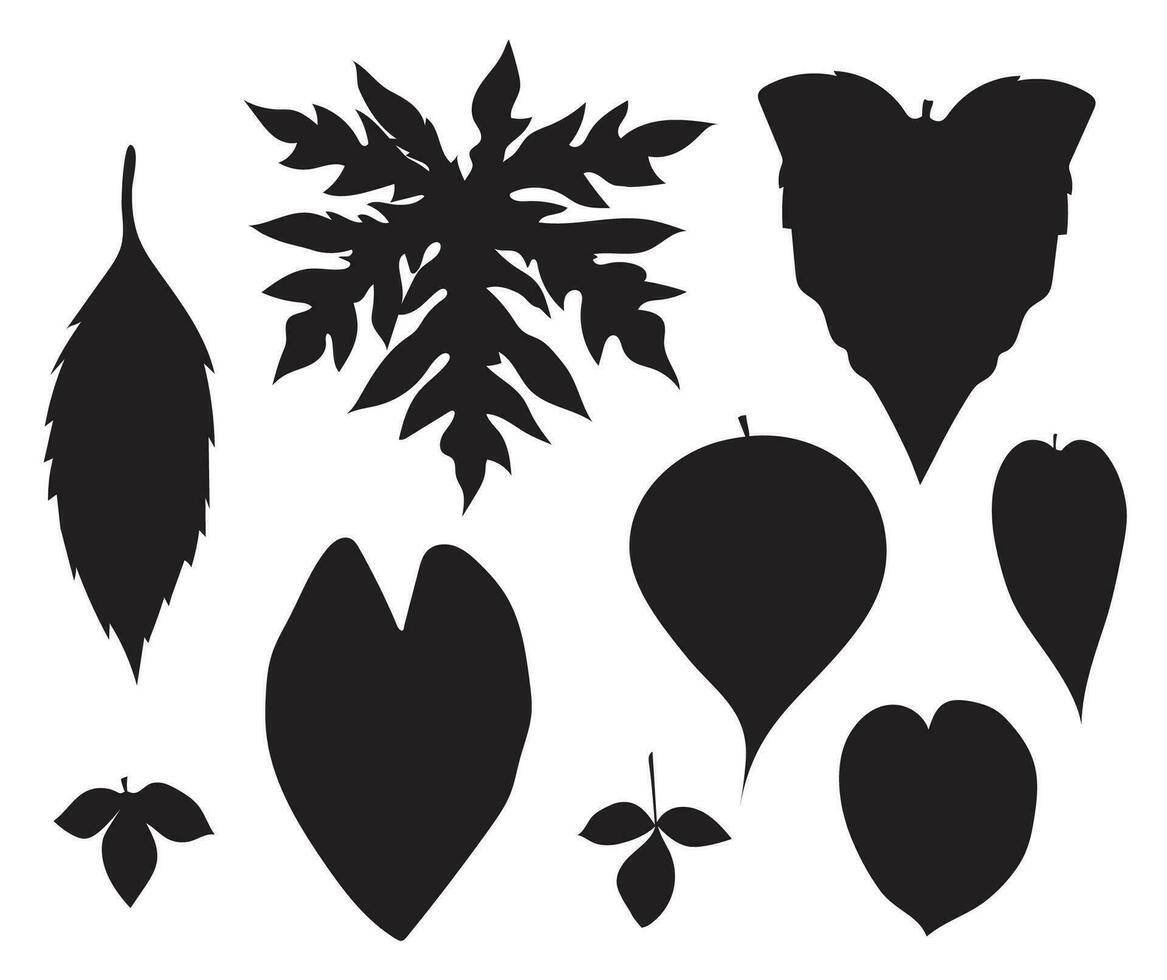 isolé plante feuilles ensemble vecteur des illustrations silhouette