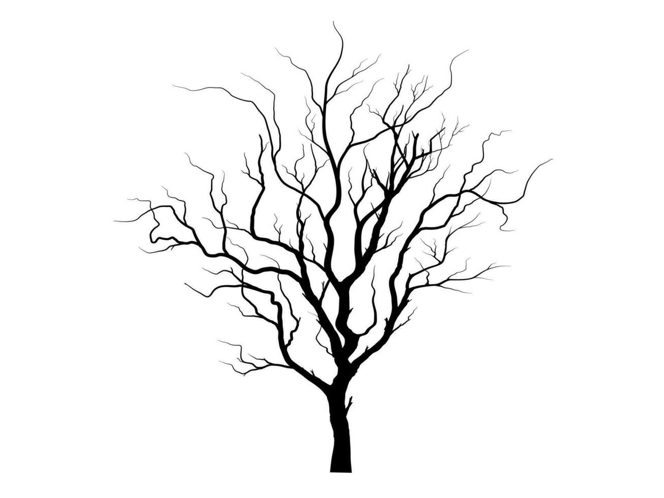 noir branche arbre ou nu des arbres silhouettes. main tiré isolé illustrations, arbre symbole style et blanc Contexte. pouvez être utilisé pour votre travail. vecteur