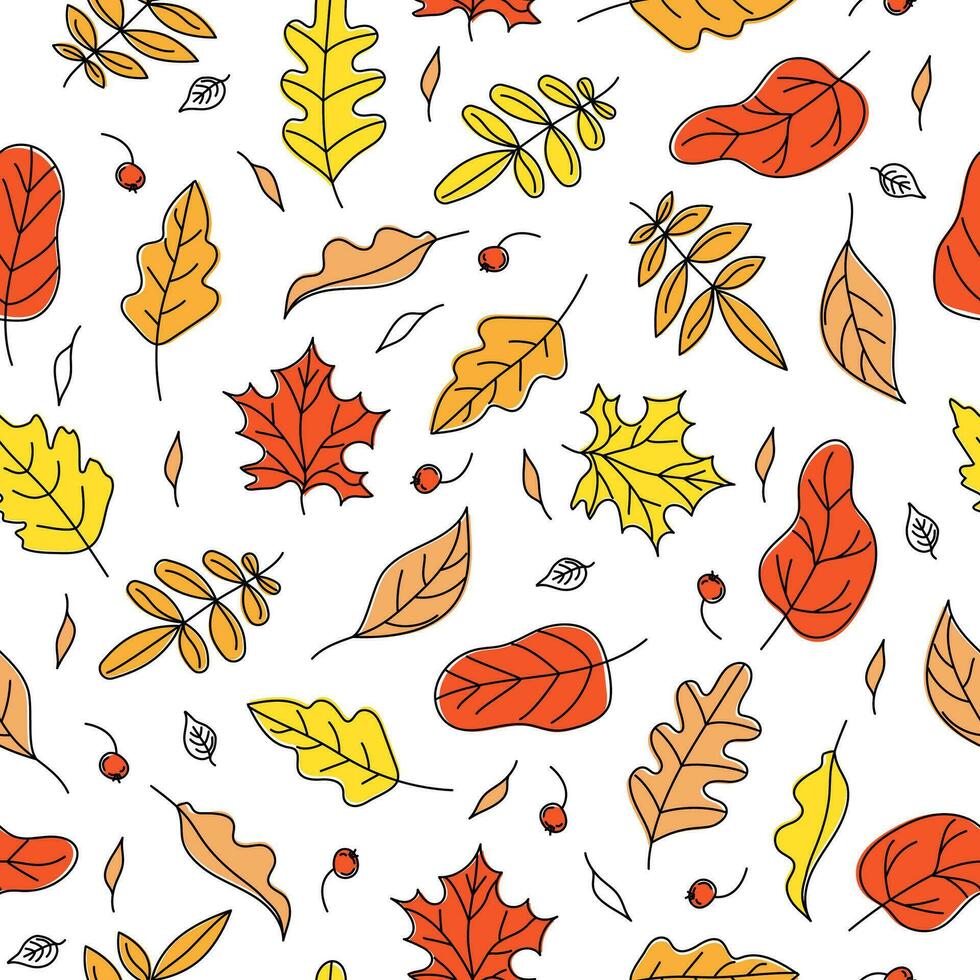 modèle. l'automne feuilles. ensemble l'automne, Naturel sans couture Contexte avec feuilles. récolte fête. chute des feuilles. griffonnage style dessins. Couleur vecteur illustration. blanc isolé Contexte.