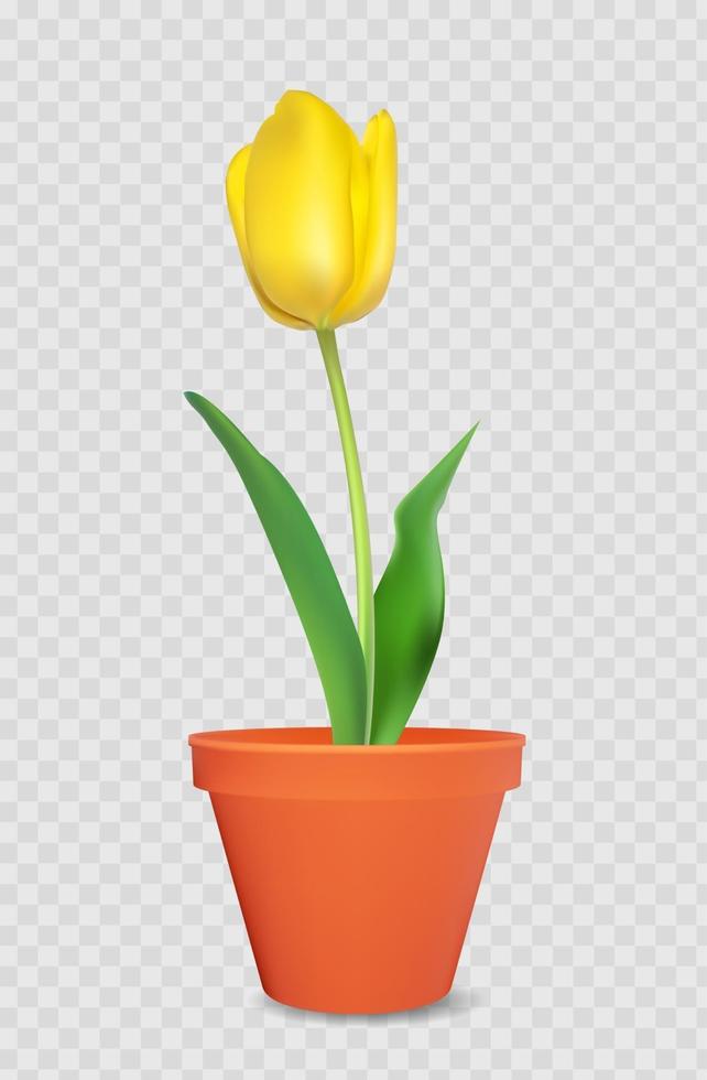 tulipe 3d réaliste dans un pot de fleur vecteur