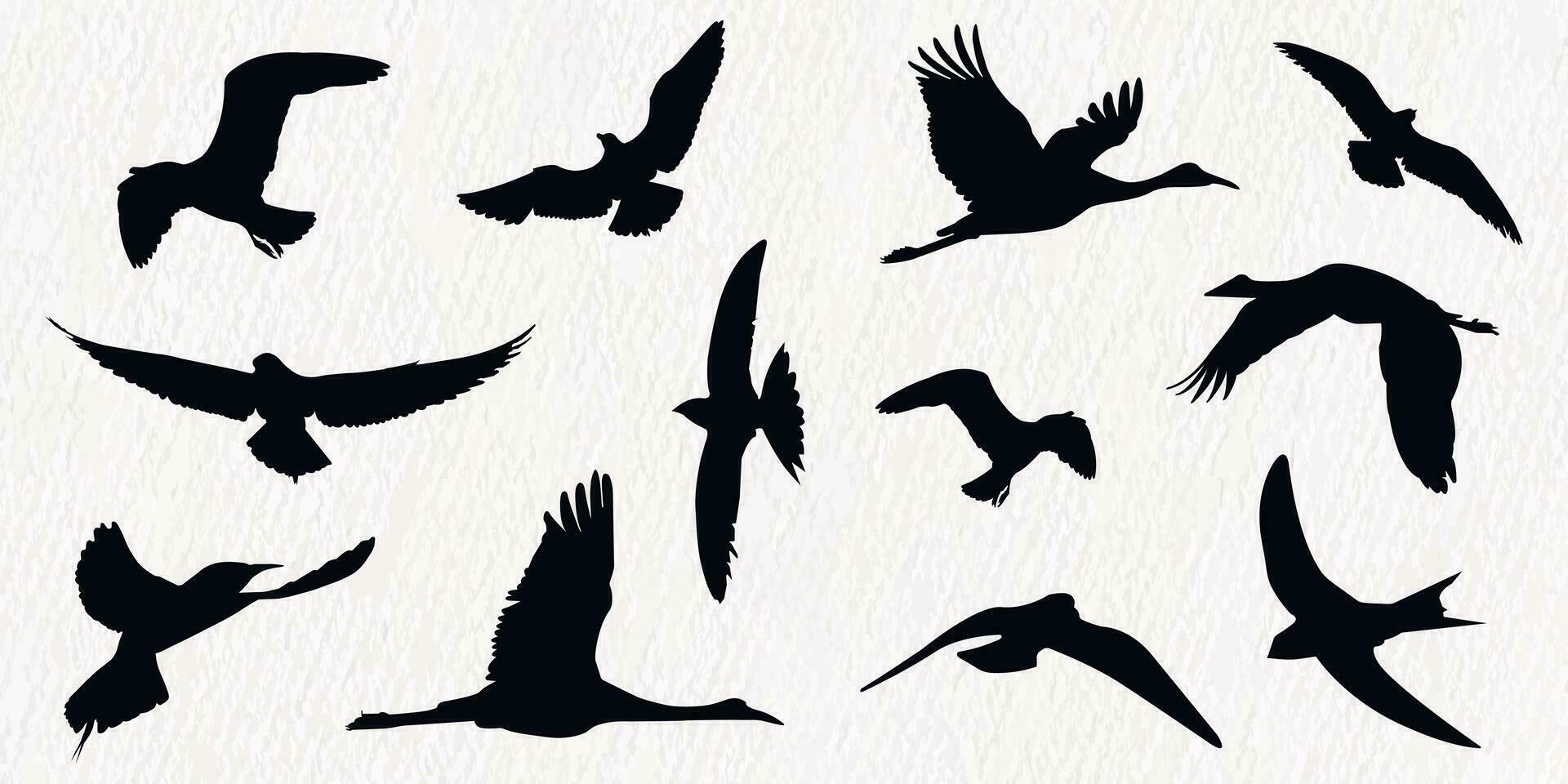troupeau de en volant des oiseaux dans une ensemble de vecteur silhouettes