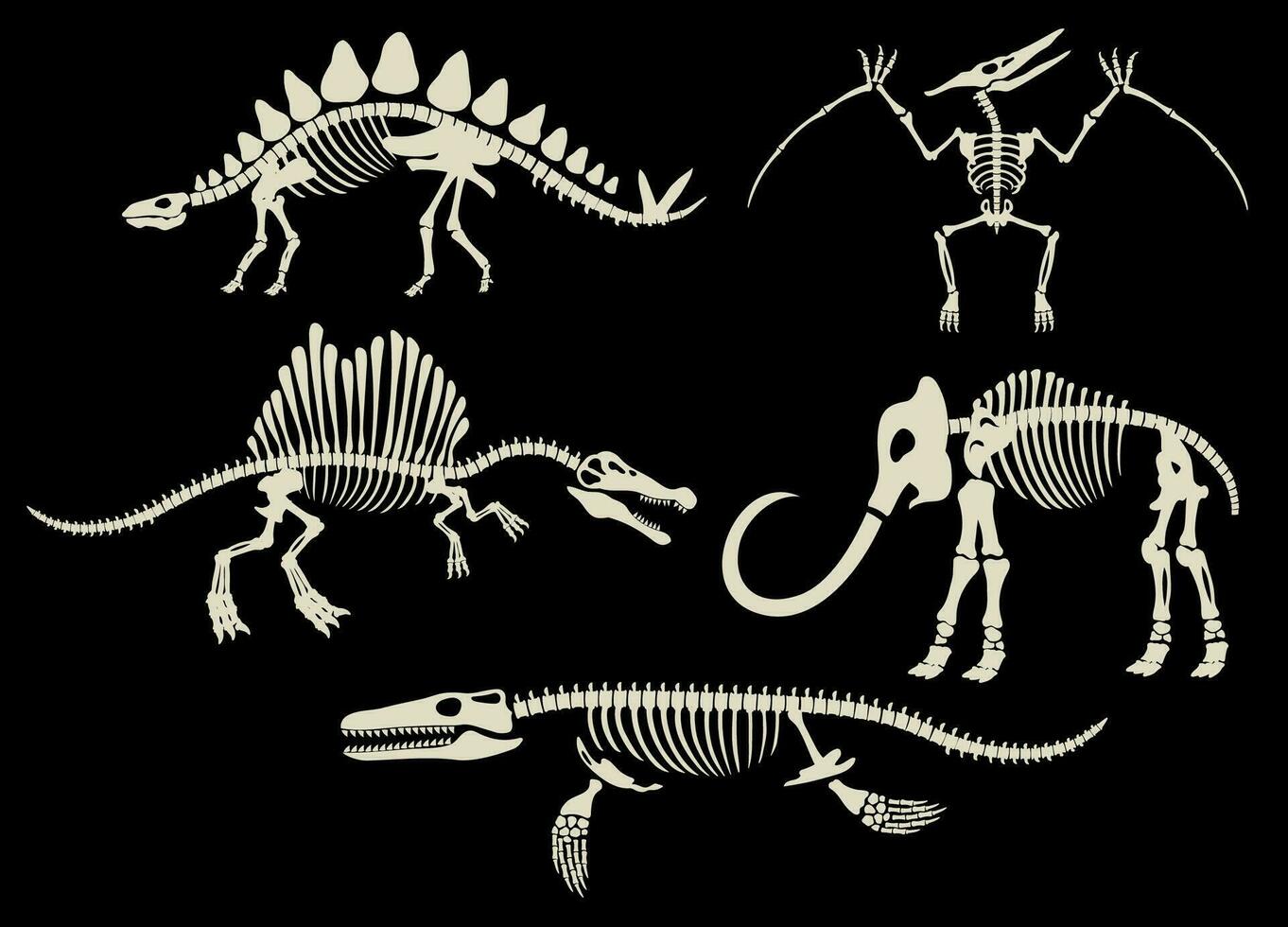 ensemble collection de dinosaure fossiles archéologie noir et blanc vecteur