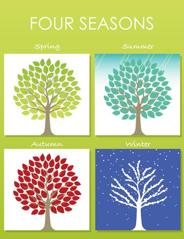 Ensemble de quatre illustrations d'arbres en quatre saisons. vecteur