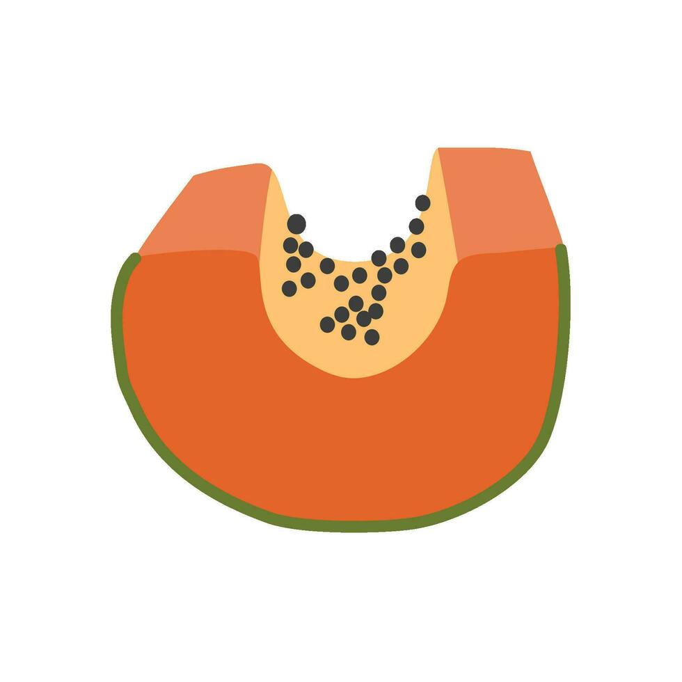 tranche mûr Papaye tropical fruit vecteur