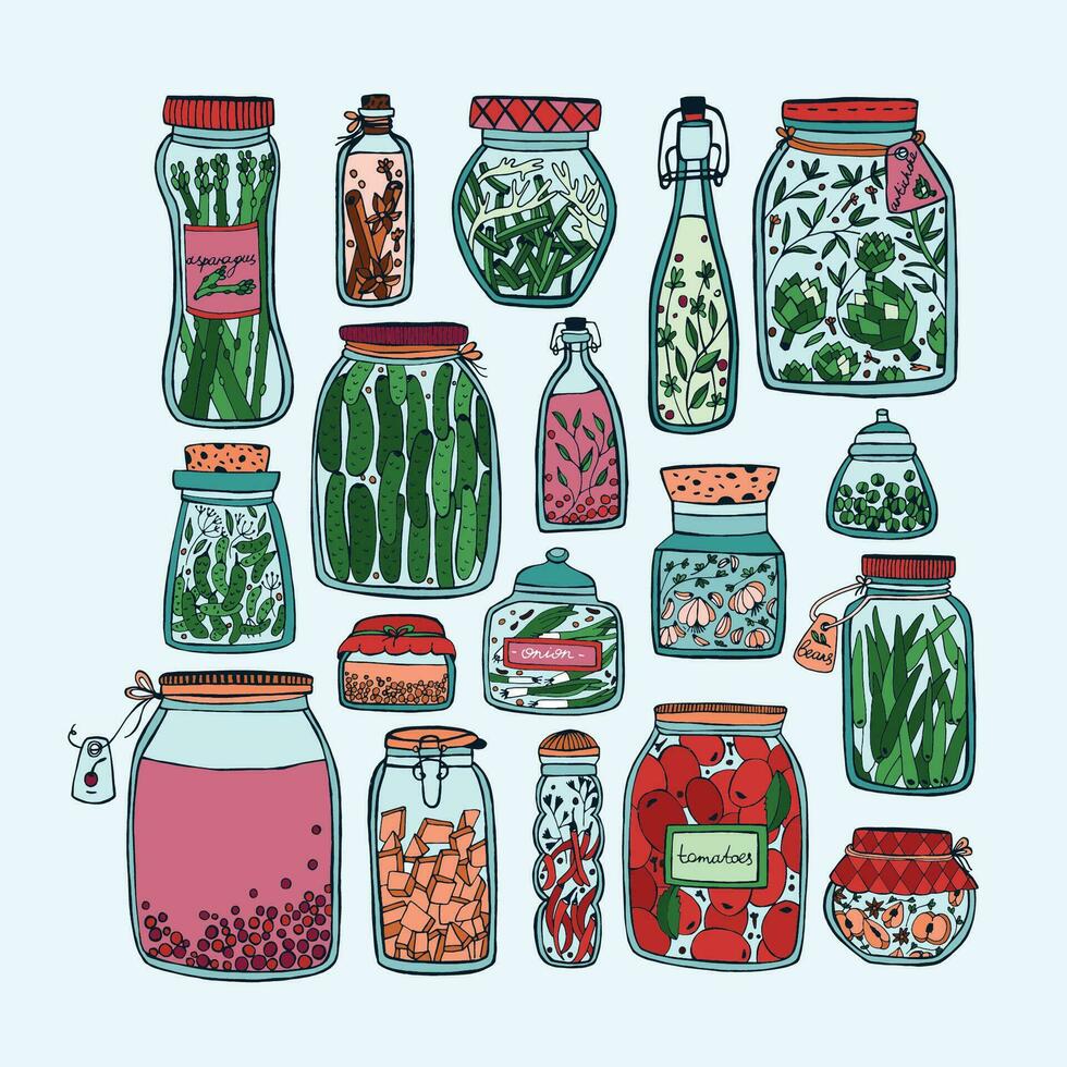 ensemble de mariné pots avec légumes, des fruits, herbes et baies sur étagères. l'automne mariné aliments. coloré illustration. vecteur