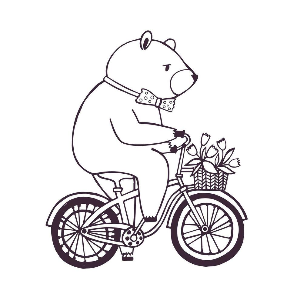 ours sur le vélo avec panier et fleurs. dessin animé contour illustration sur blanc Contexte. vecteur