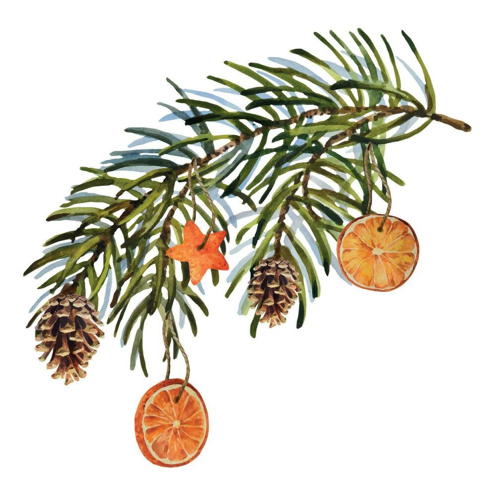 aquarelle Noël ensemble de sapin branche avec cônes et sec des oranges. main peint vacances éléments avec hiver les plantes. floral illustration pour conception, imprimer, tissu. vecteur