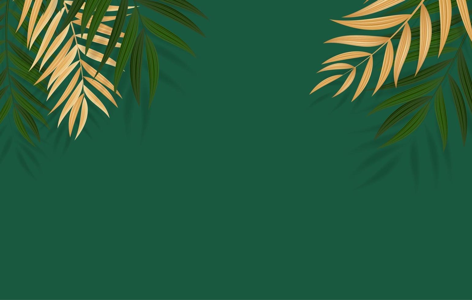 abstrait tropical de feuille de palmier vert réaliste. illustration vectorielle eps10 vecteur